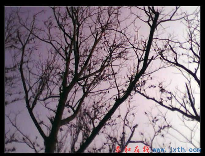 IMG0220A.jpg