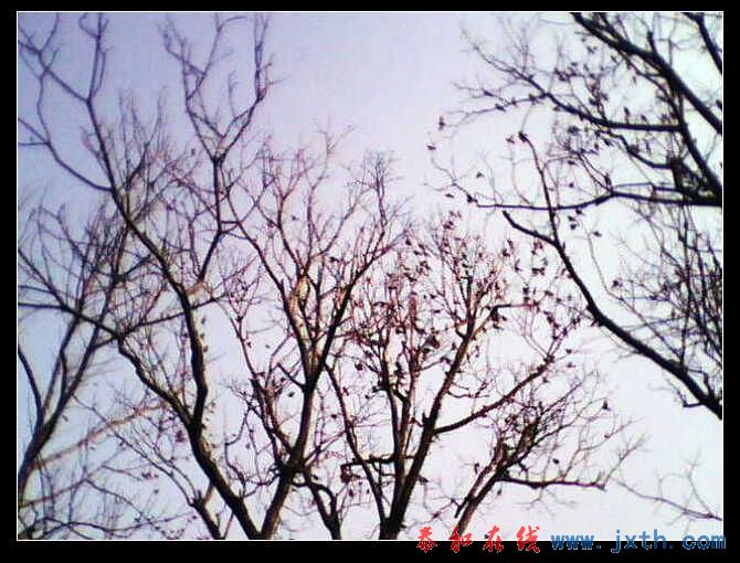 IMG0221A.jpg