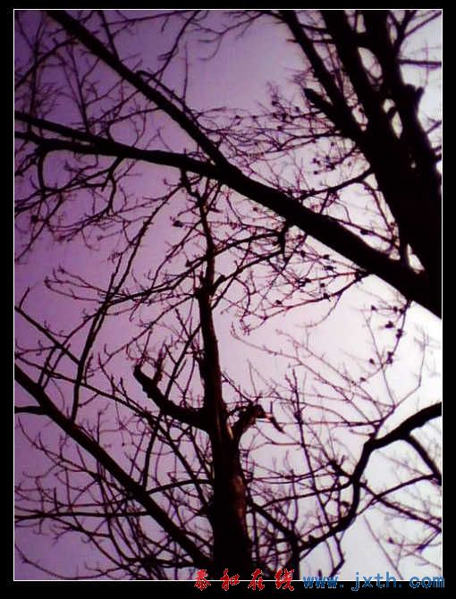 IMG0225A.jpg