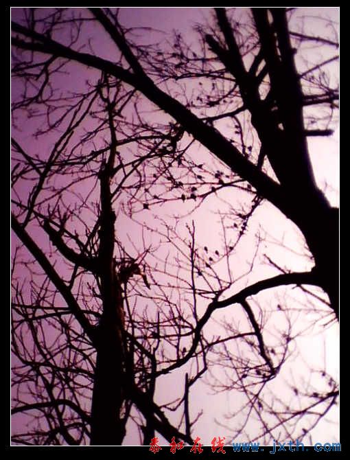 IMG0224A.jpg