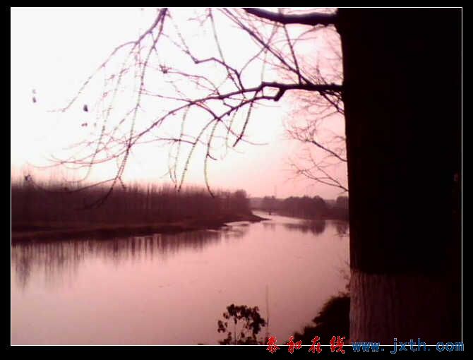 IMG0228A.jpg
