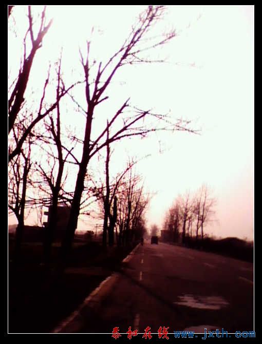 IMG0223A.jpg