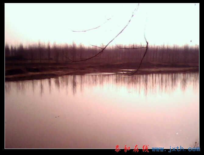 IMG0229A.jpg