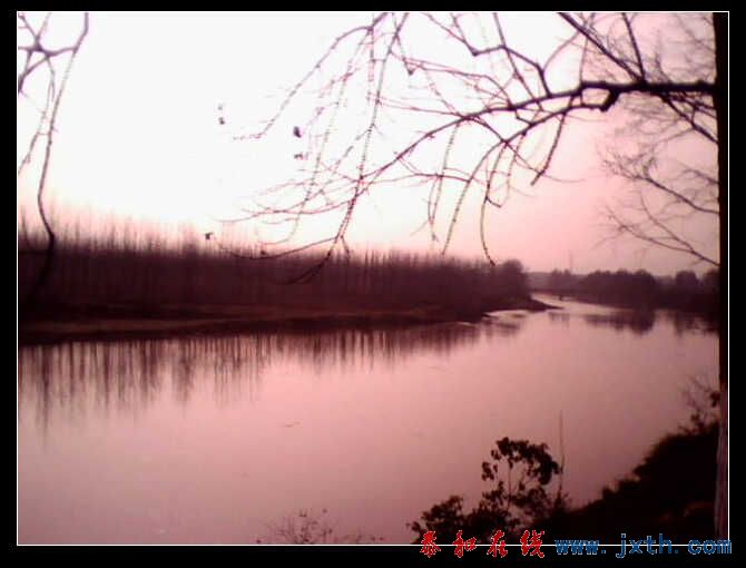 IMG0230A.jpg