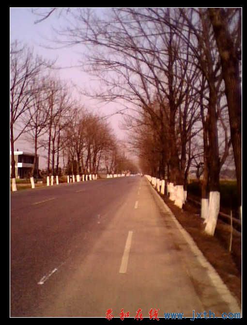 IMG0237A.jpg