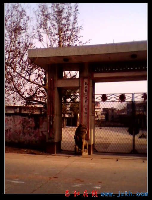 IMG0232A.jpg