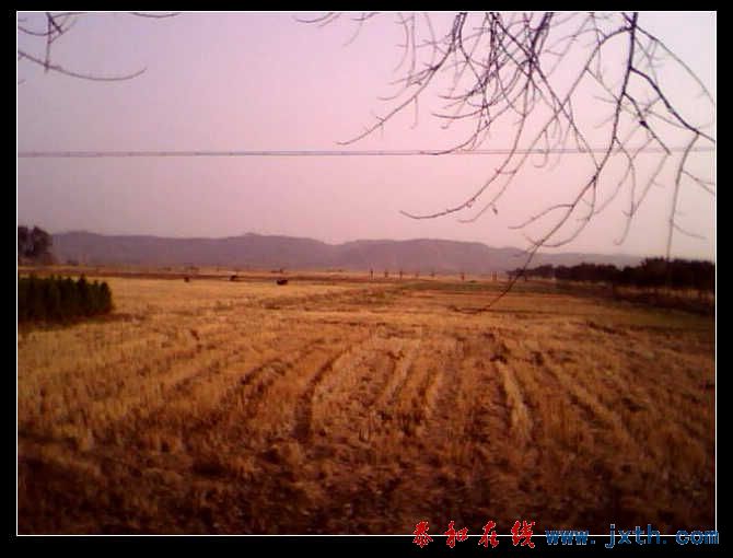 IMG0236A.jpg