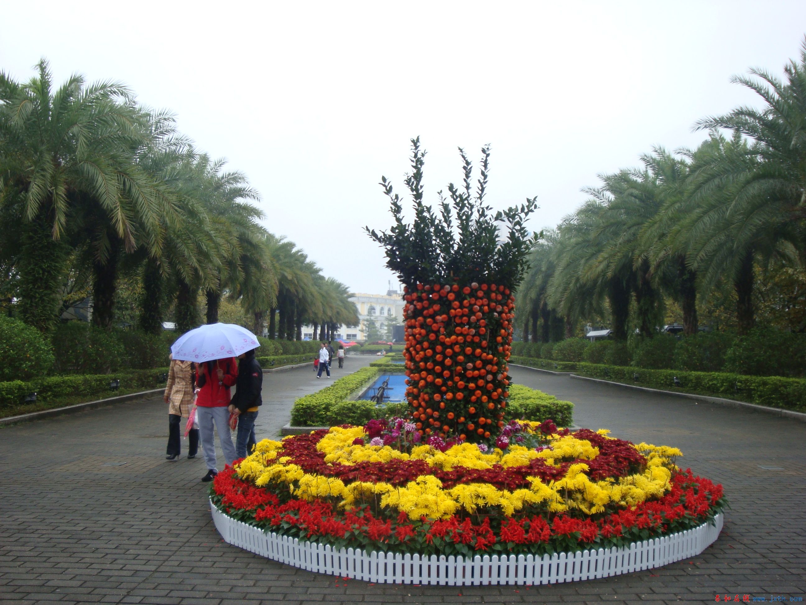 DSC06230.JPG