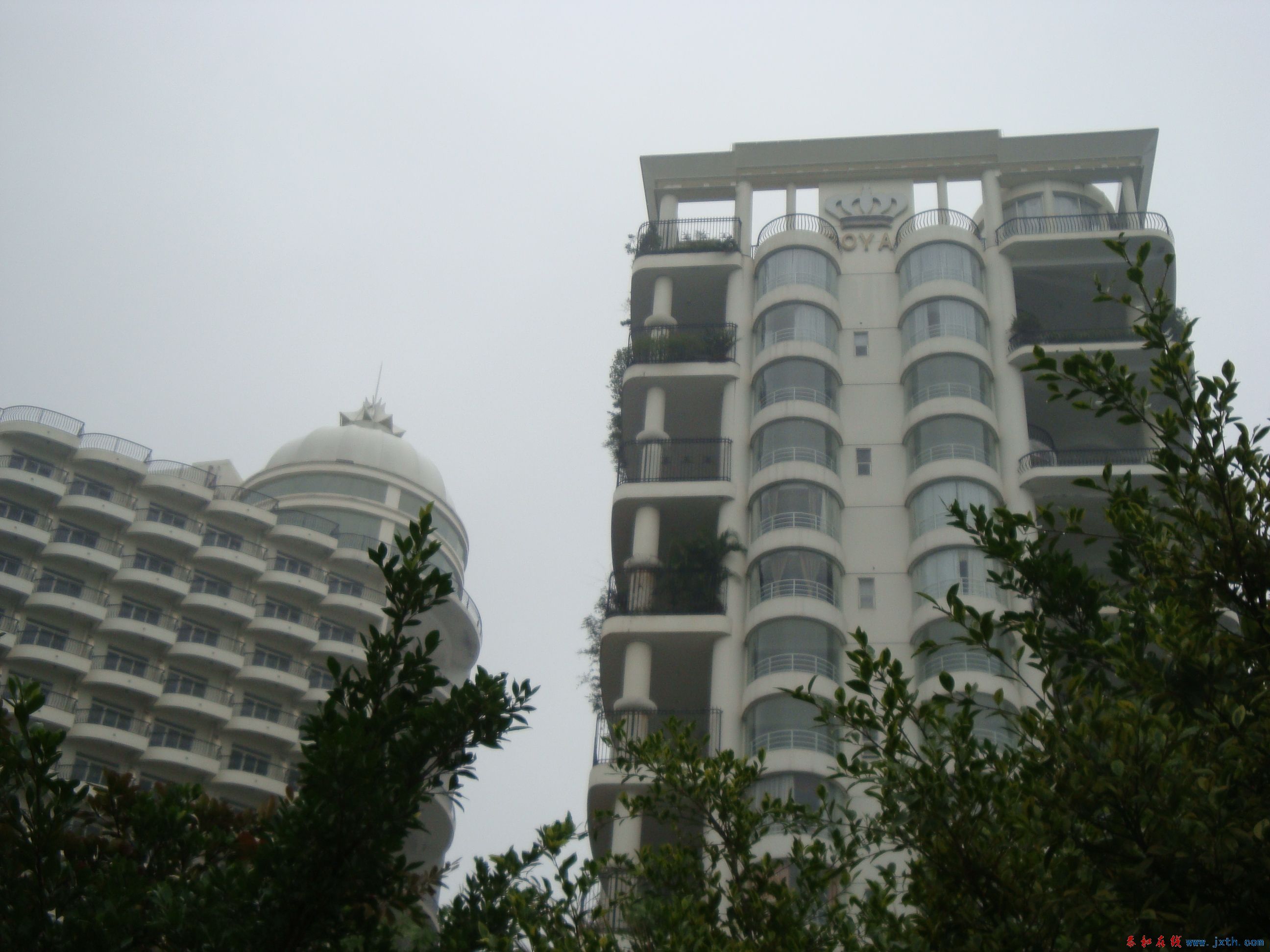 DSC06253.JPG