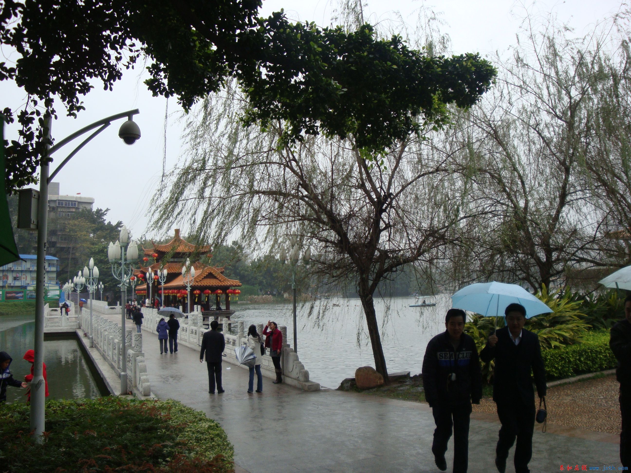 DSC06338.JPG