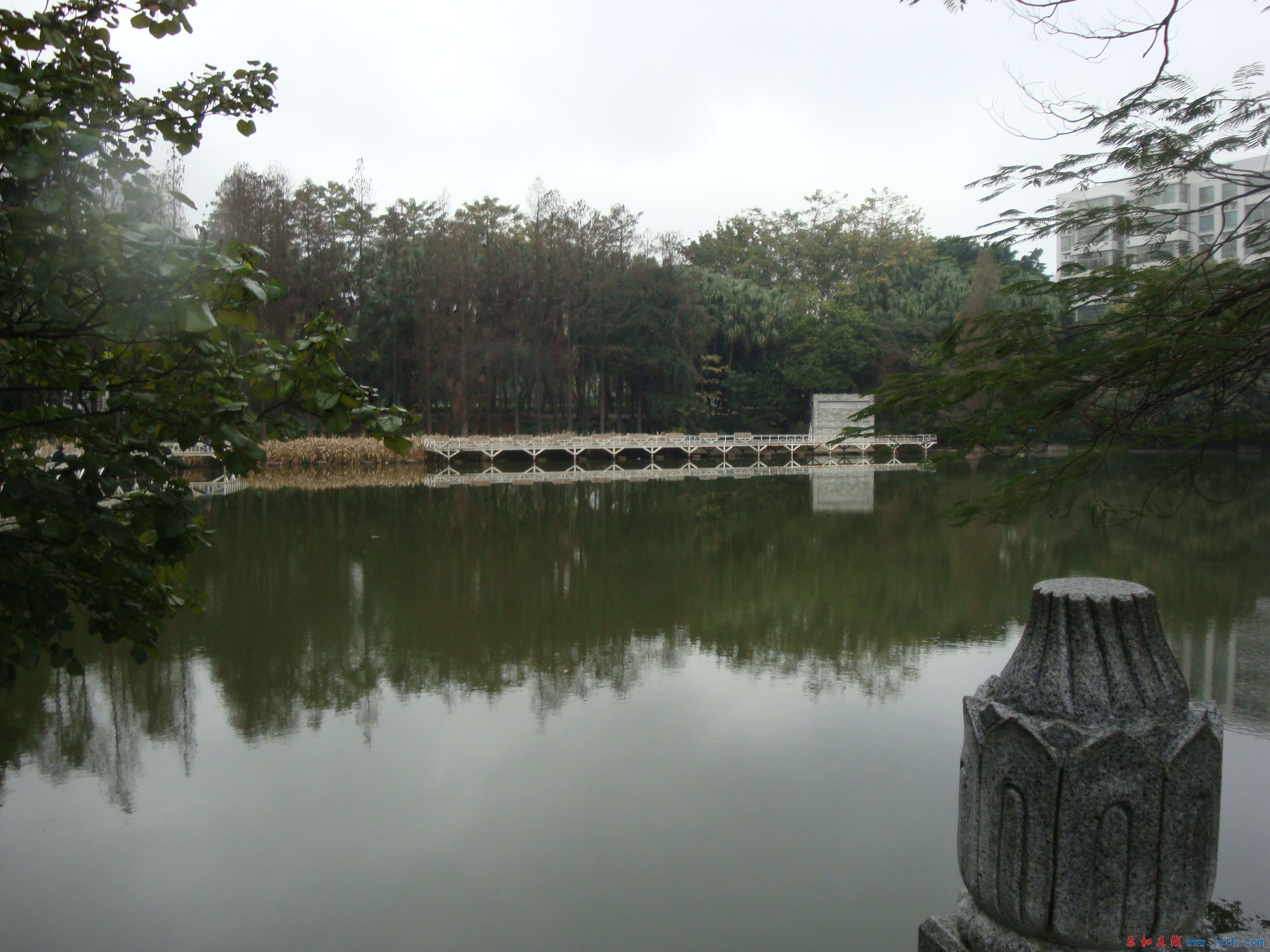 DSC06353.JPG