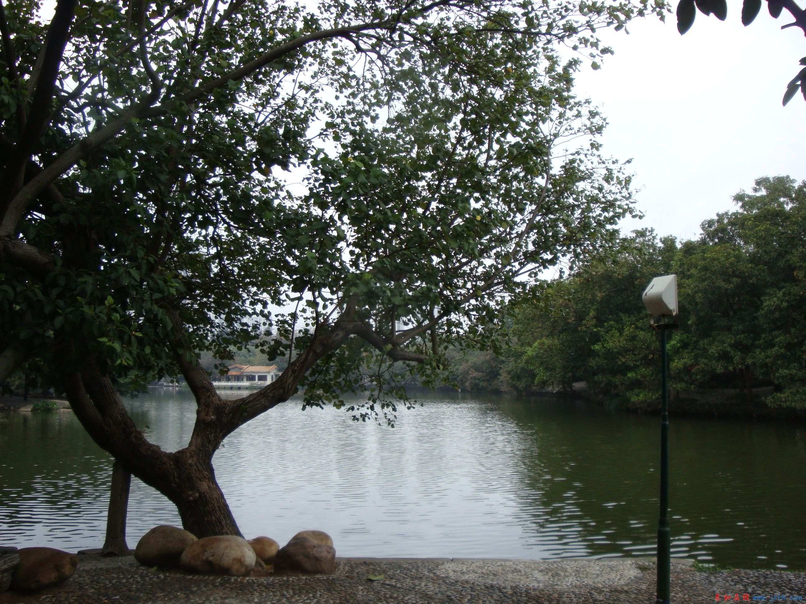 DSC06362.JPG