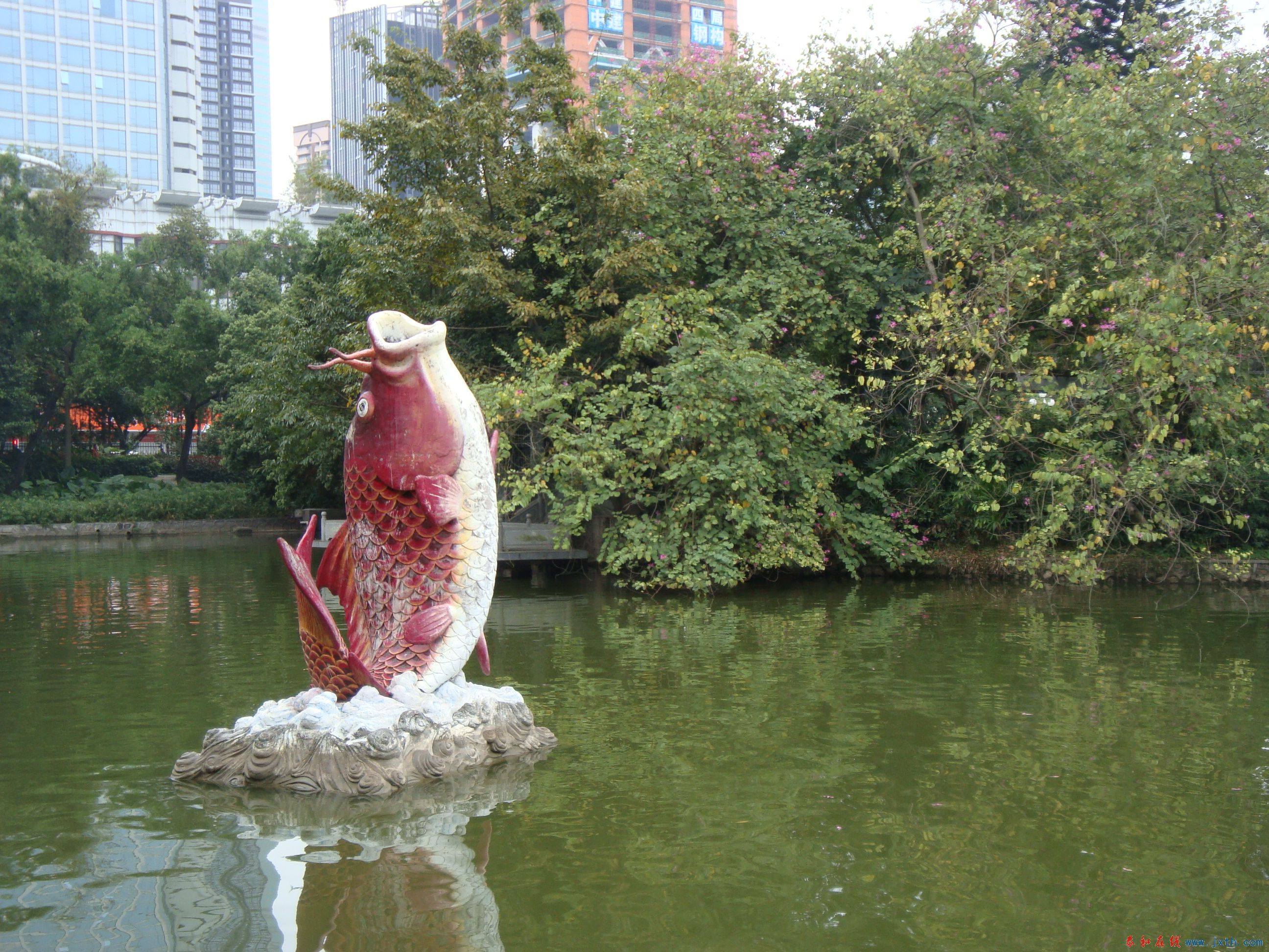 DSC06366.JPG