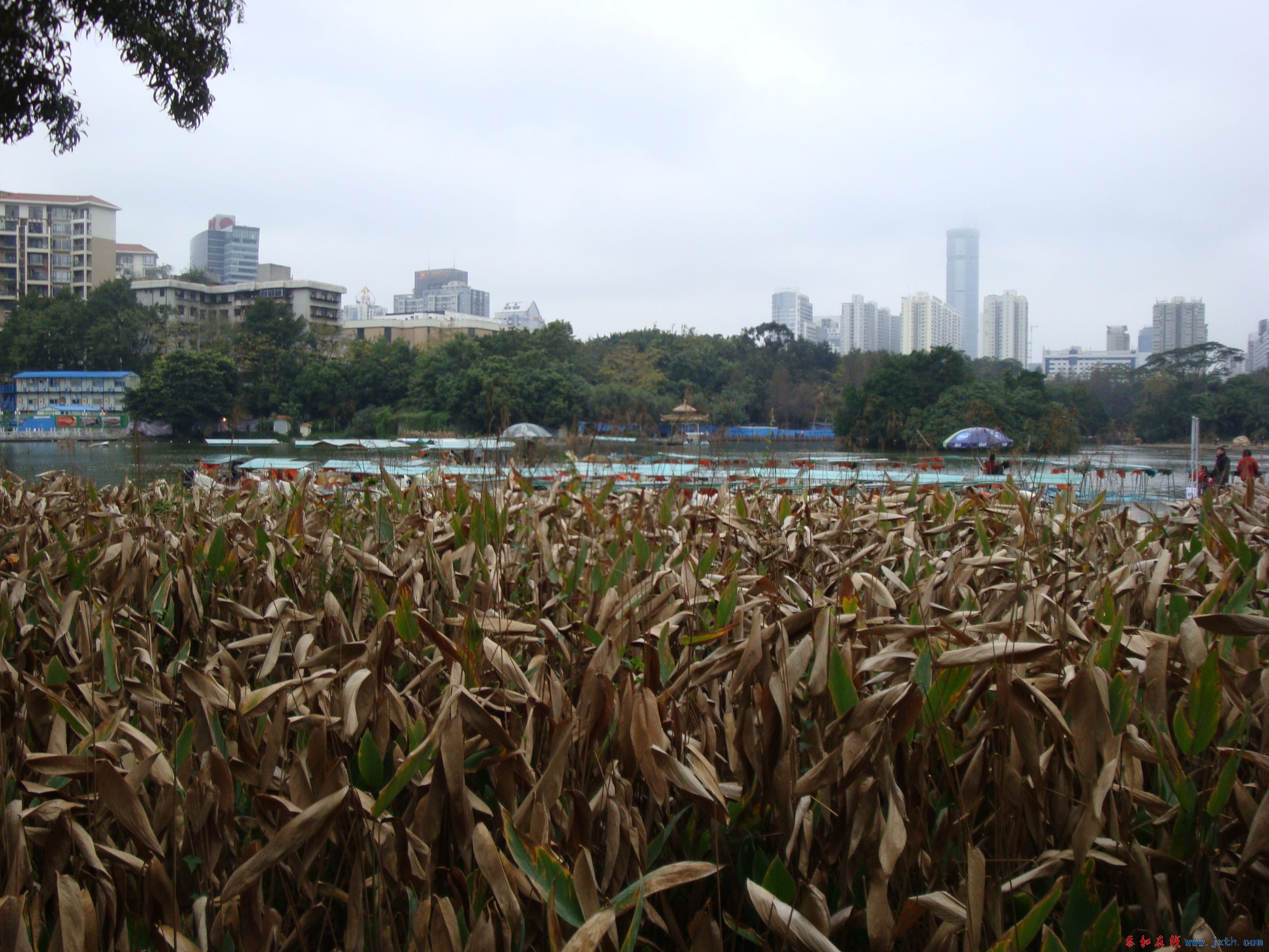 DSC06367.JPG