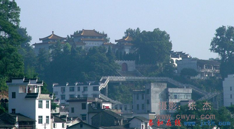 113.jpg
