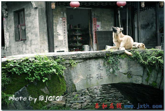 116.jpg