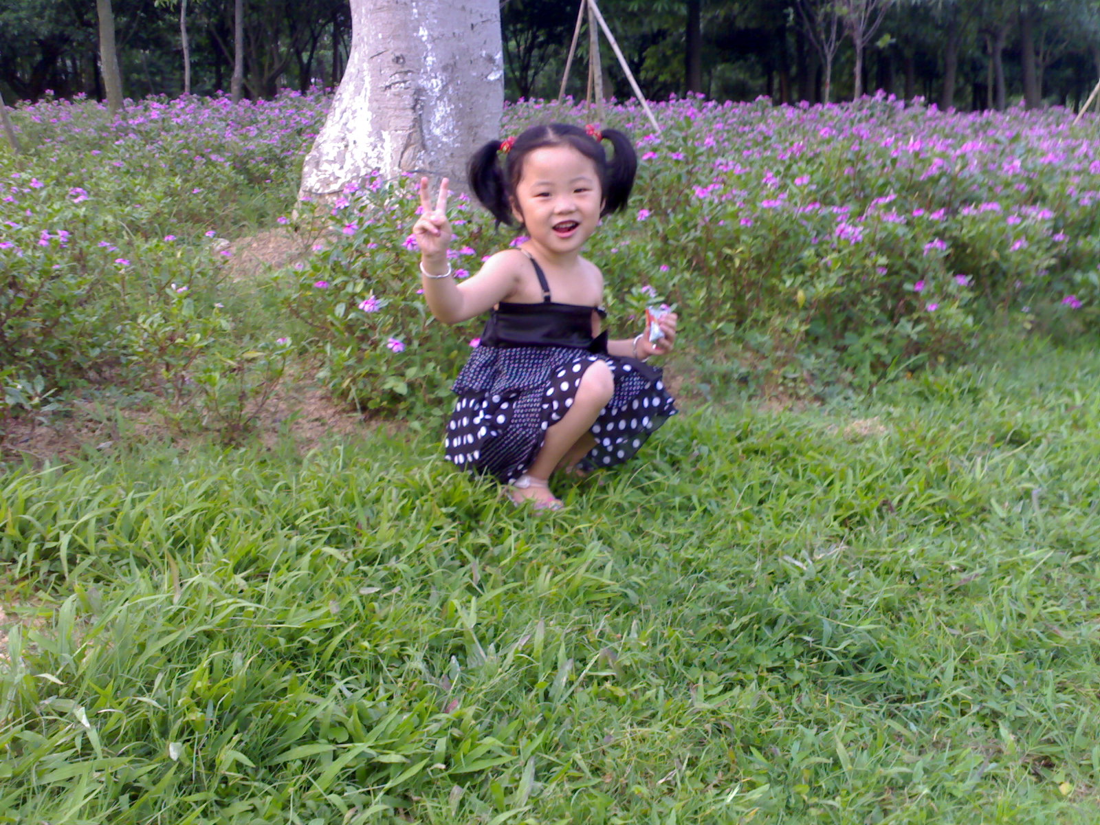 20070514070.jpg
