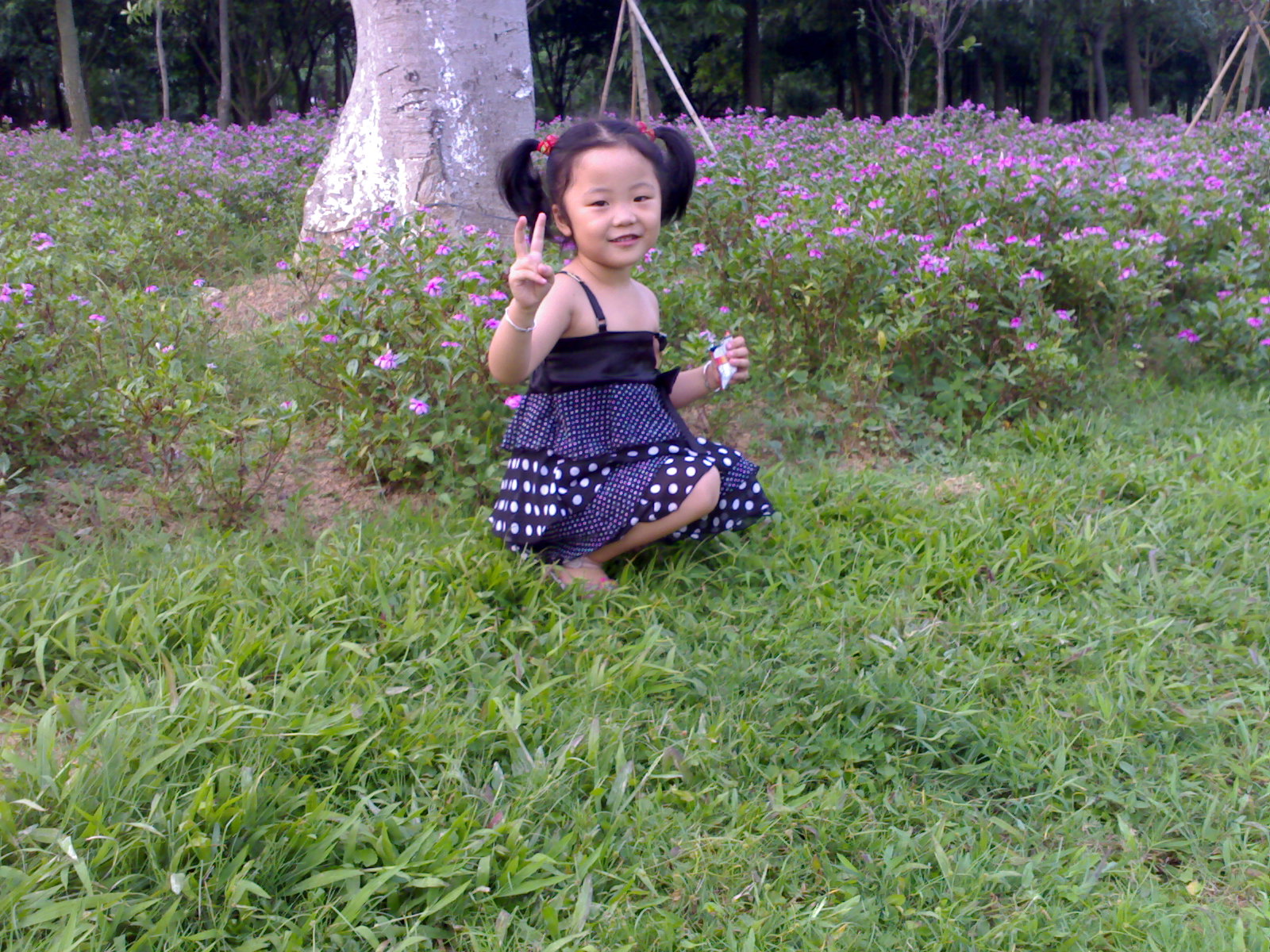 20070514071.jpg