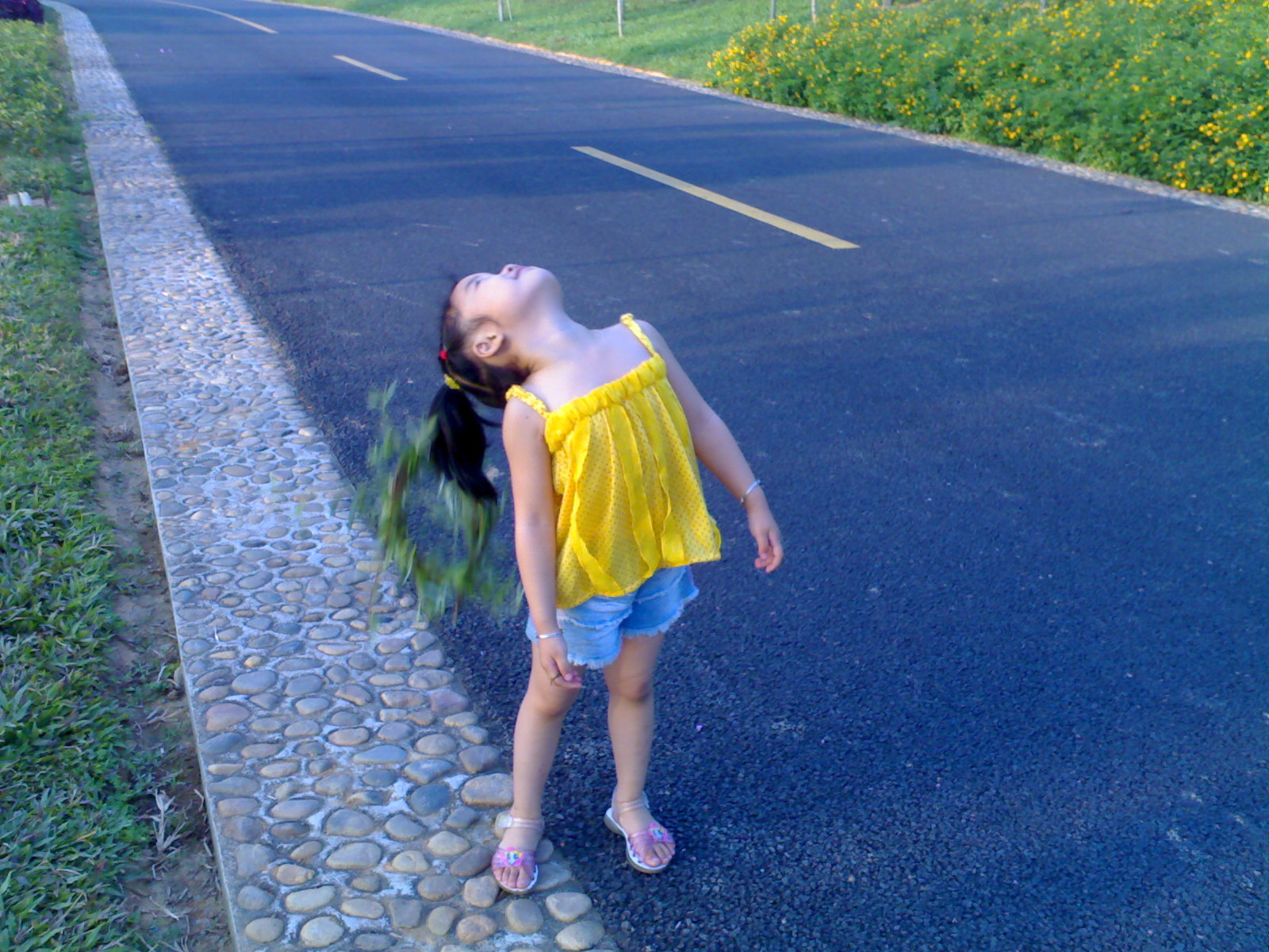 20070515076.jpg