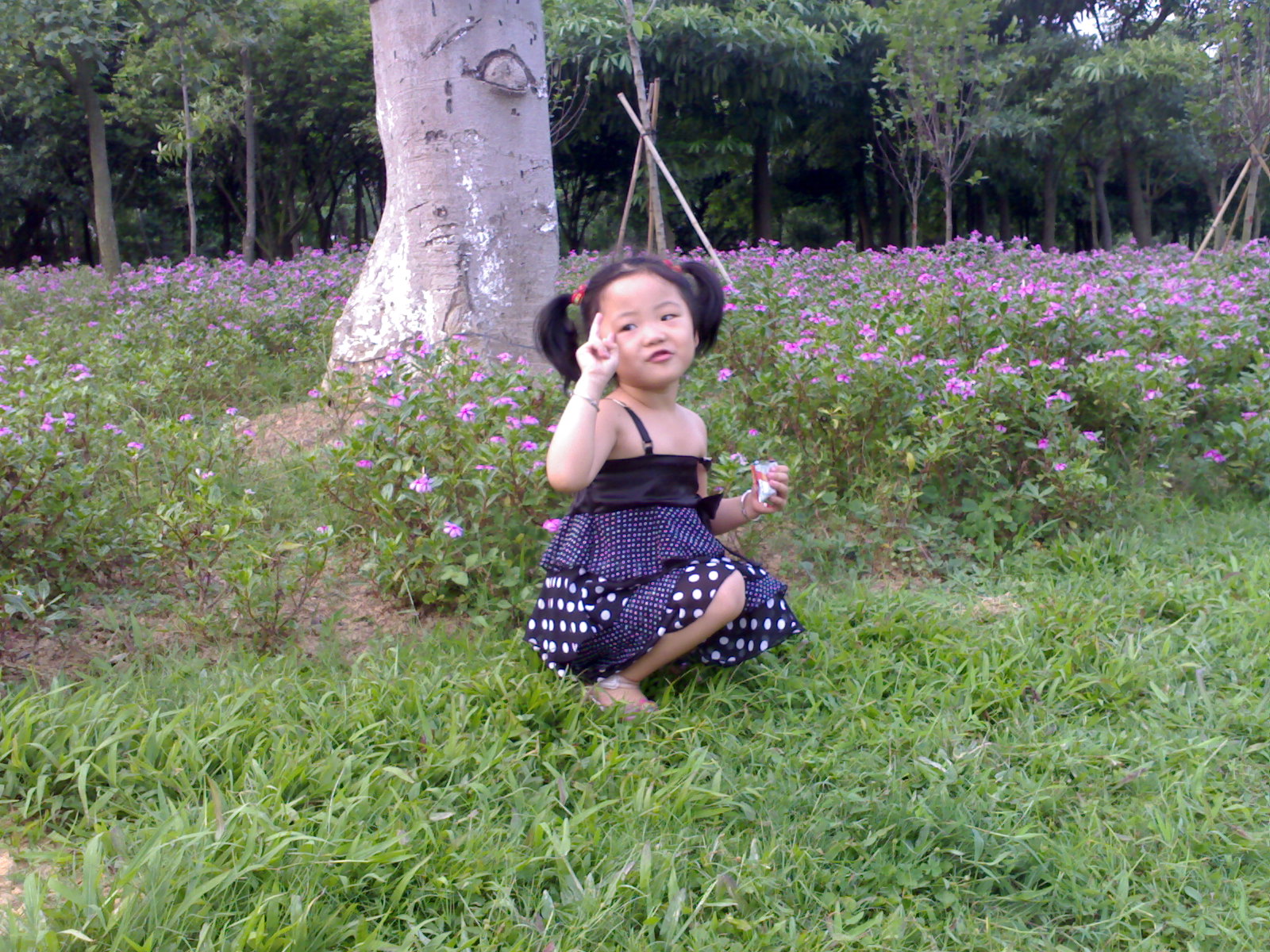 20070514069.jpg