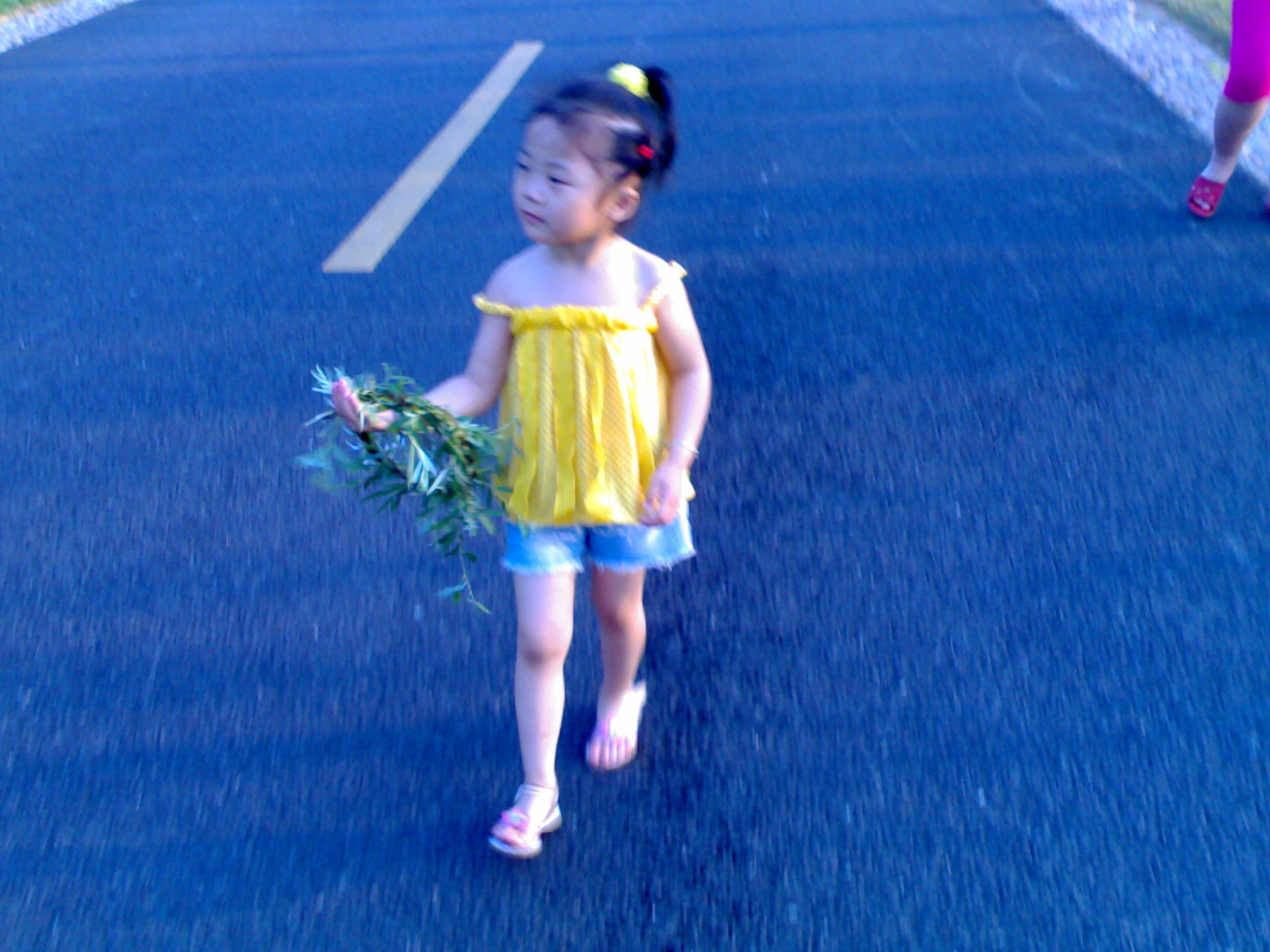 20070515079.jpg