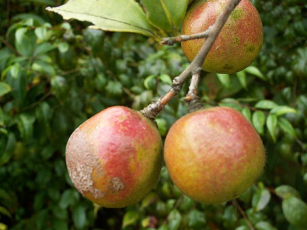 PICT2002.jpg