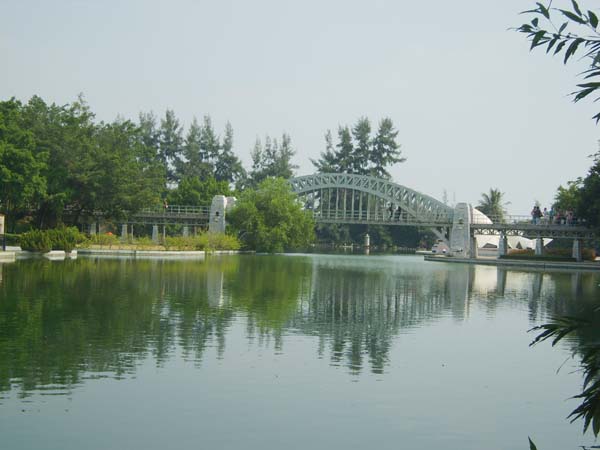 S8000820.jpg