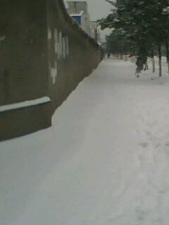 IMG0028A.jpg