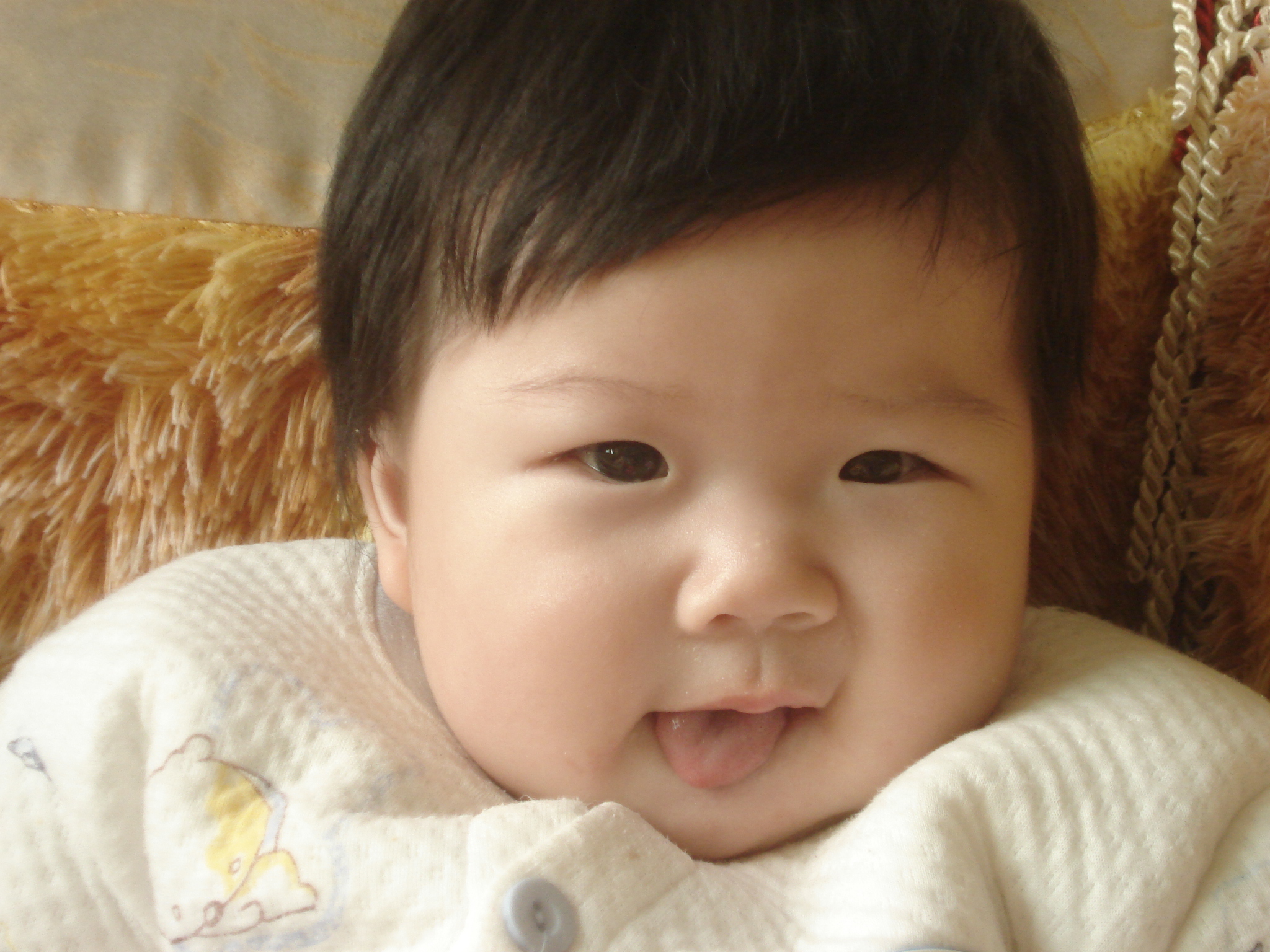 DSC03535.JPG