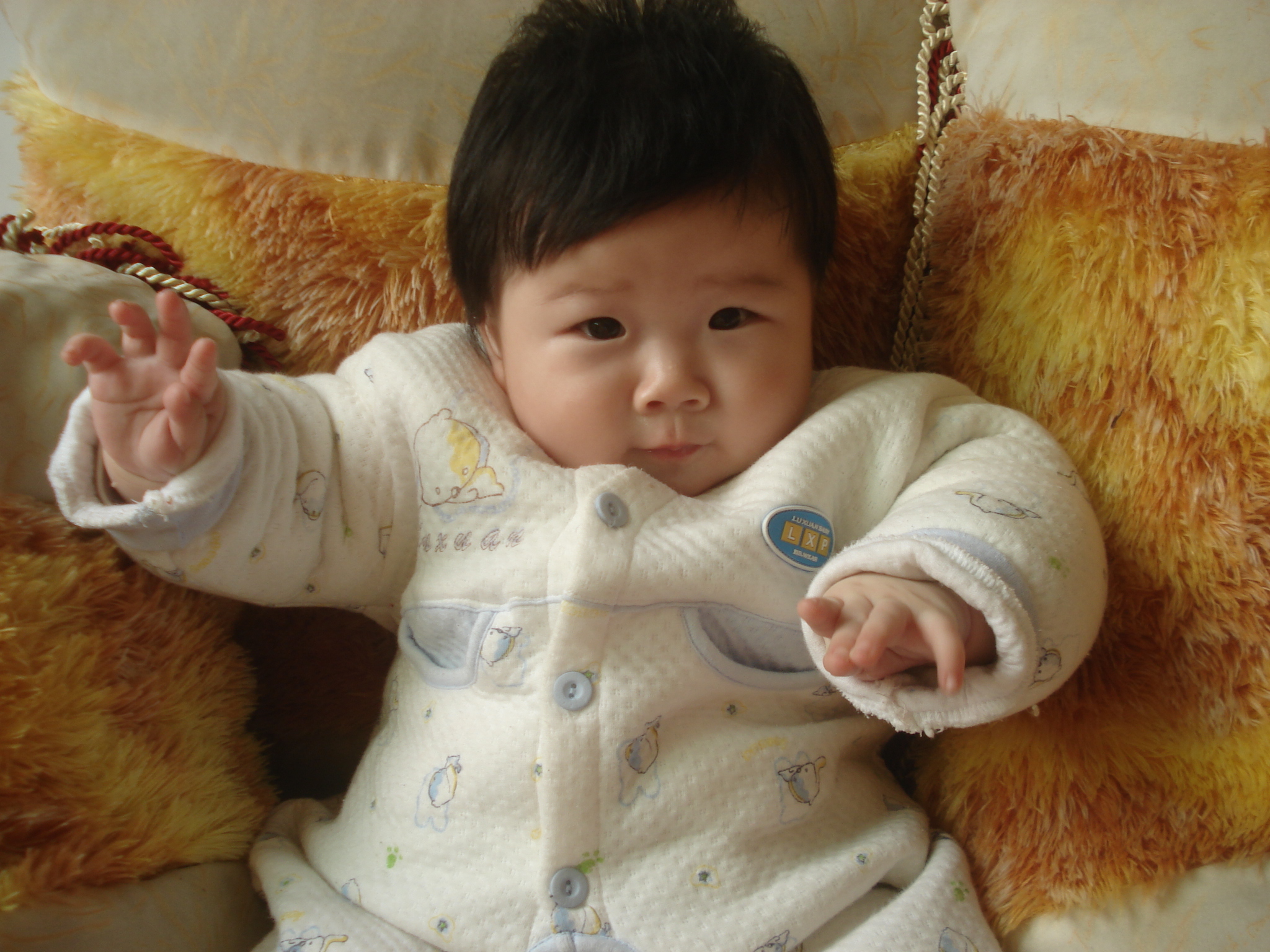 DSC03533.JPG