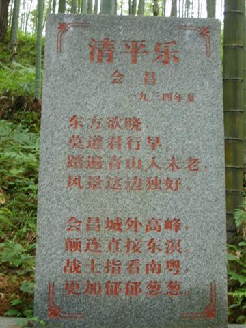 S6000741 (Small) (Small).JPG