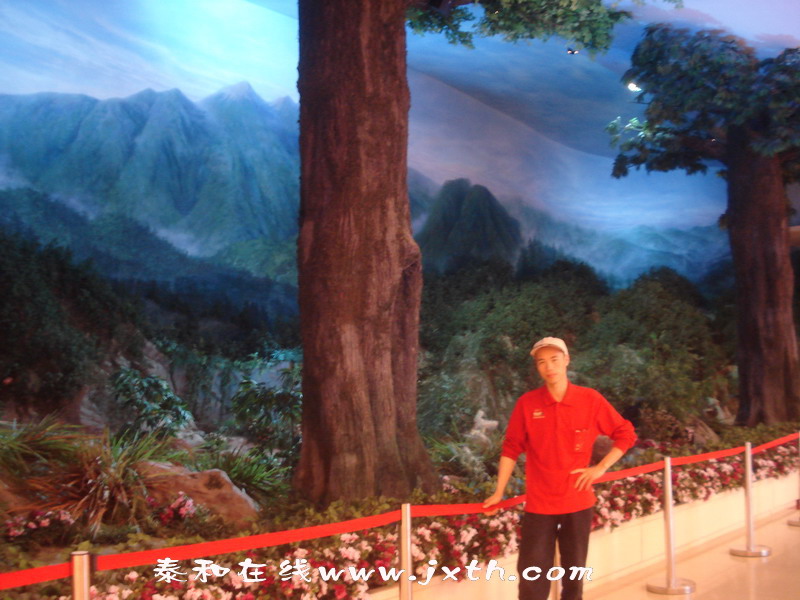 DSC04147.jpg