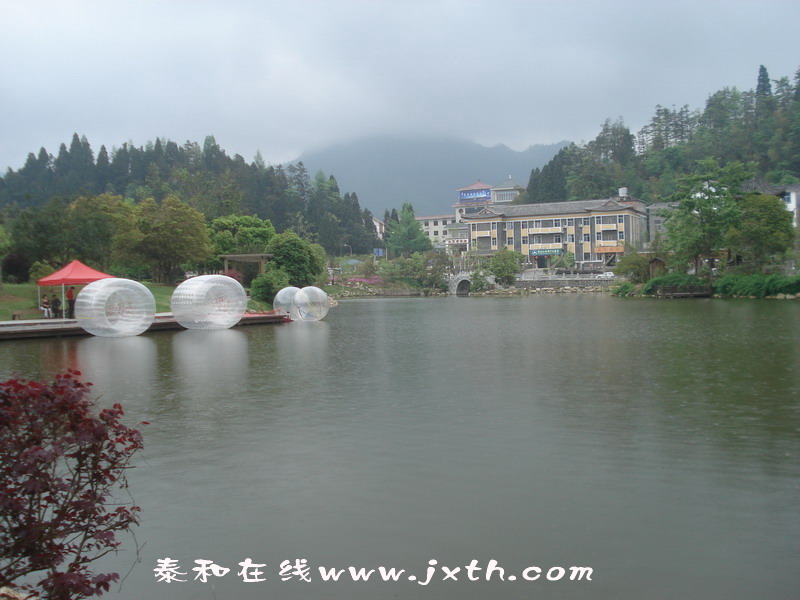 DSC04085.jpg