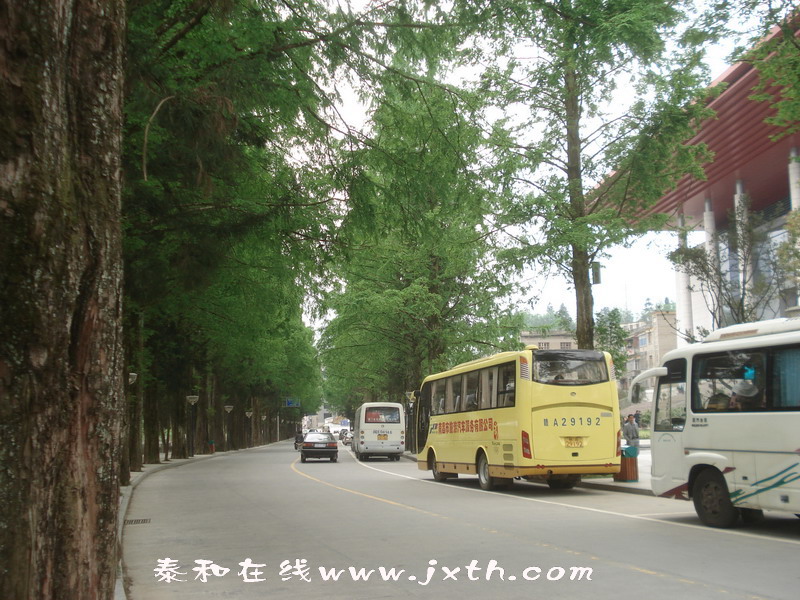 DSC04122.jpg