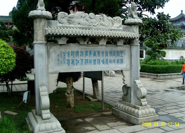 SNV15033 (Small) (2).JPG