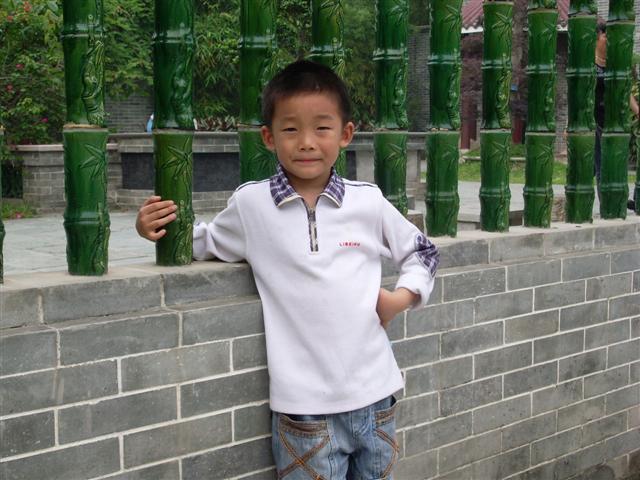 SL371625 (Small).JPG