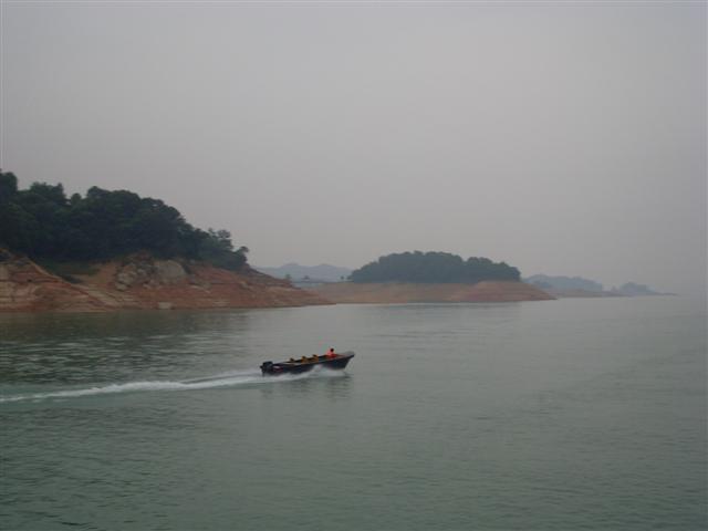 SL371668 (Small).JPG