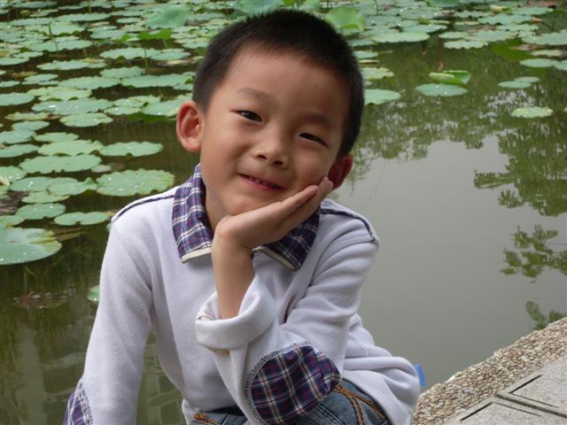 SL371633 (Small).JPG