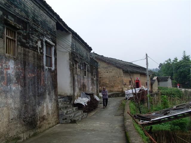 SL371819 (Small).JPG