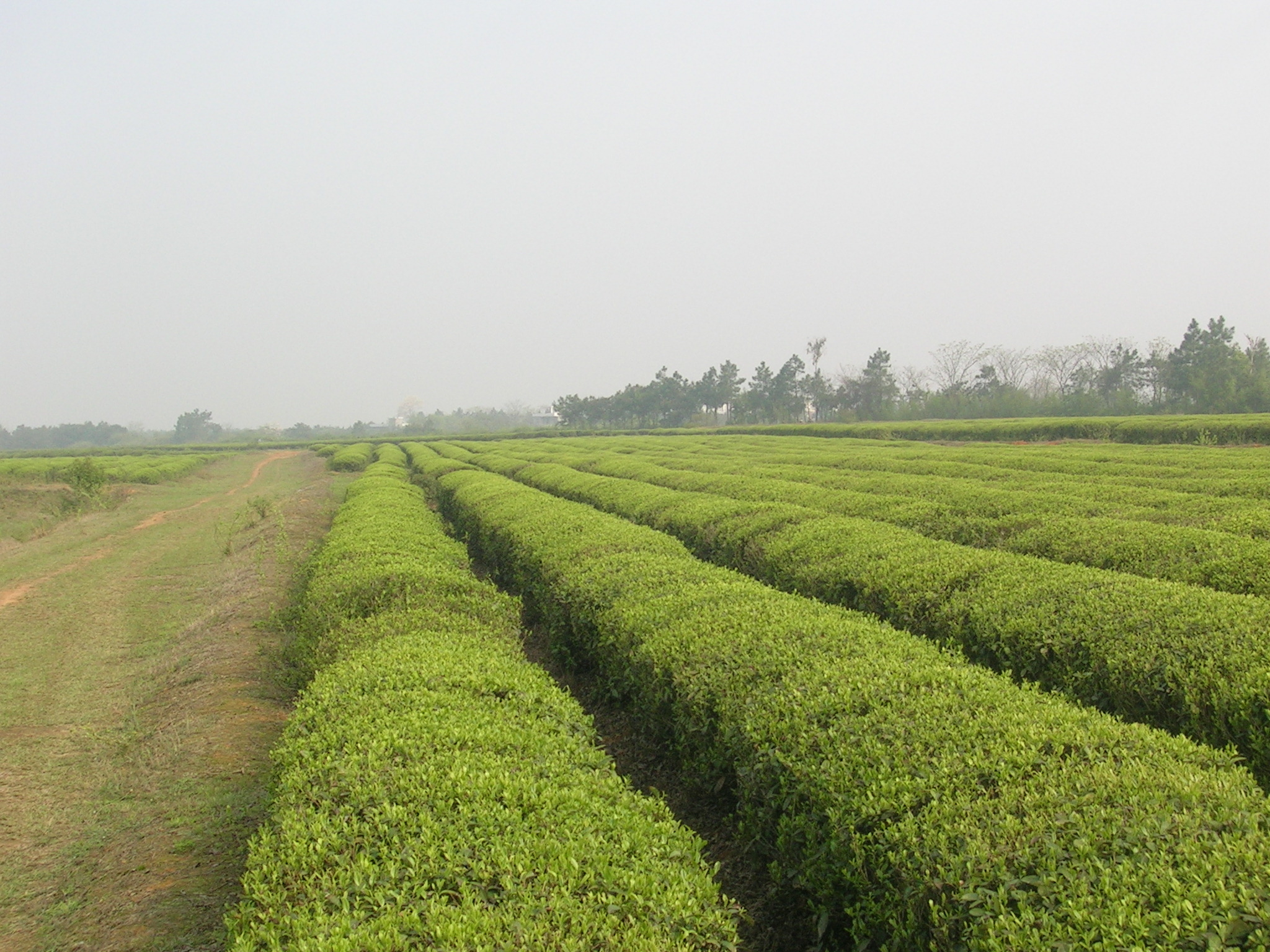 DSCN5439.JPG
