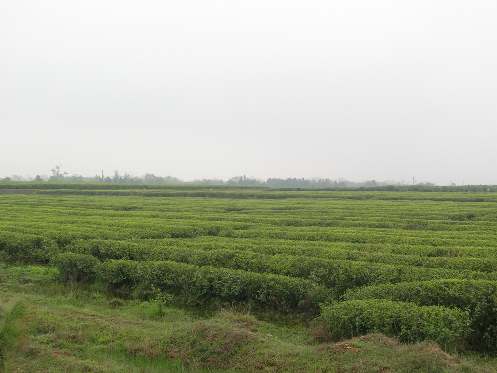 DSCN5432.JPG