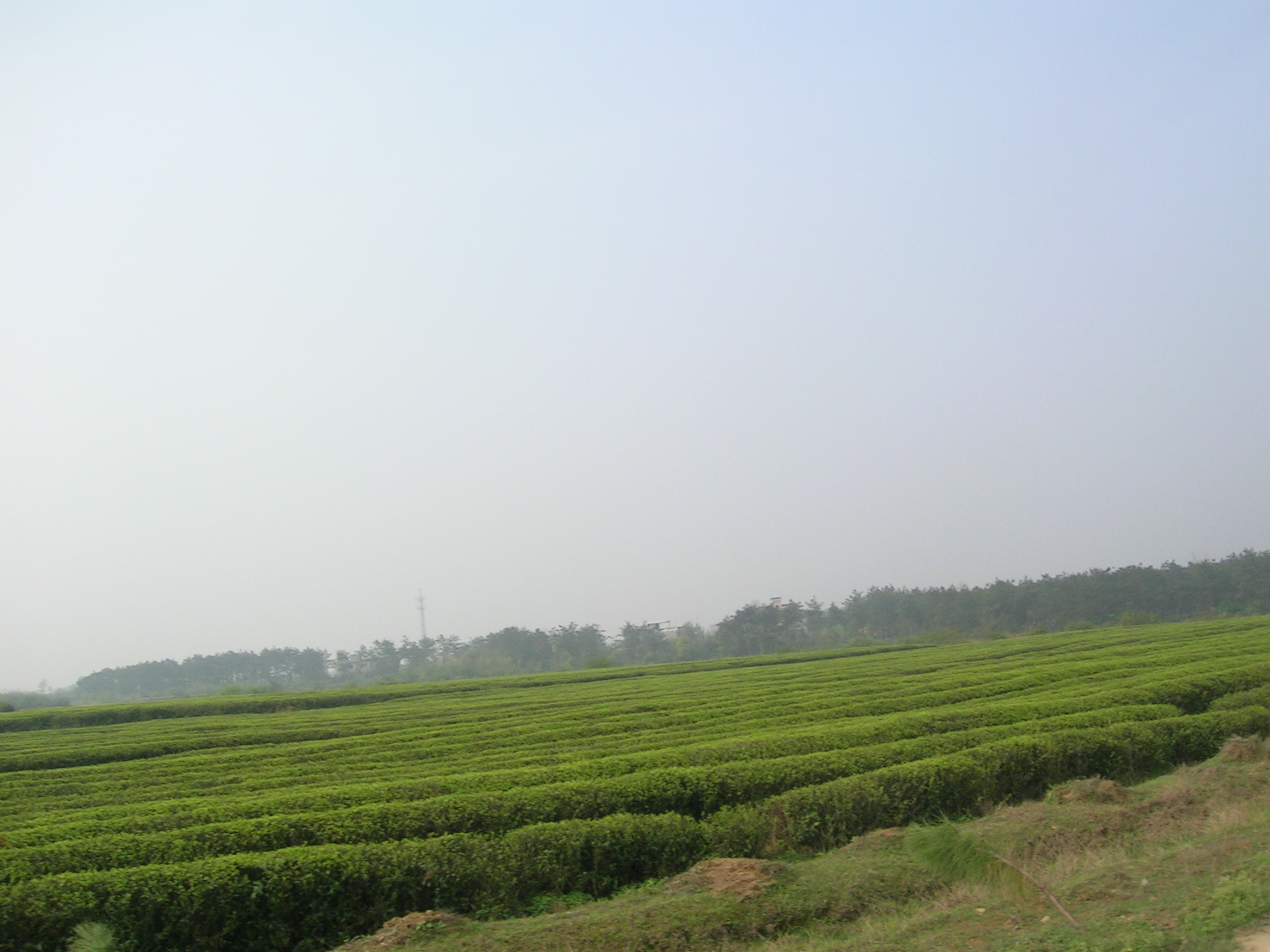DSCN5447.JPG
