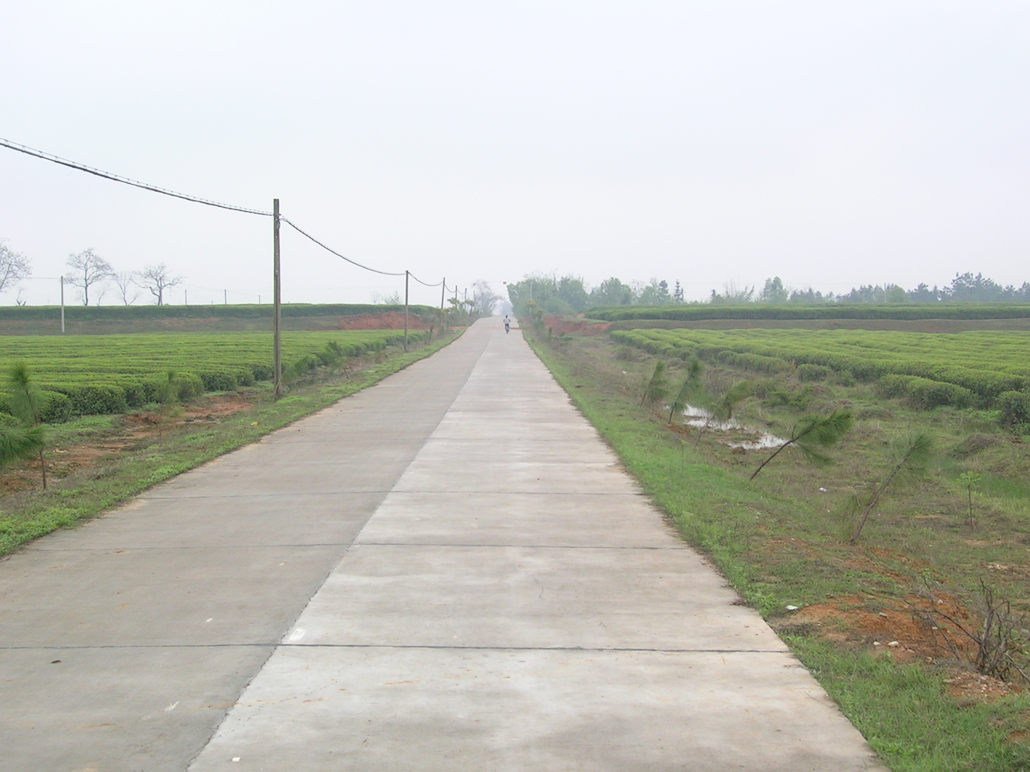 DSCN5431.JPG
