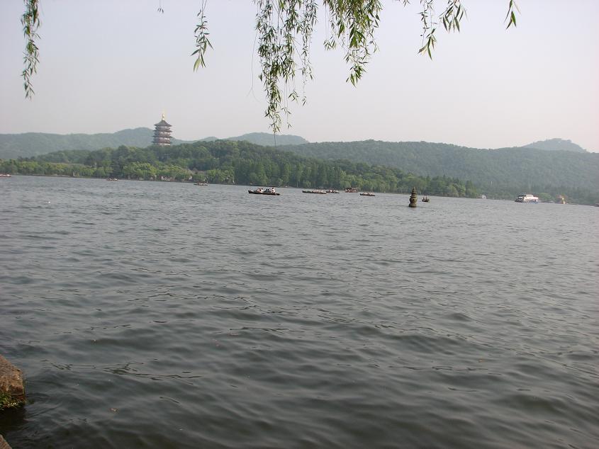 558.jpg