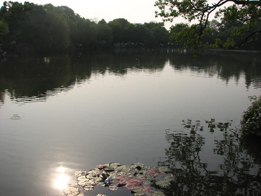559.jpg