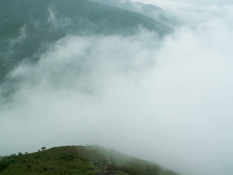 PICT2876.jpg