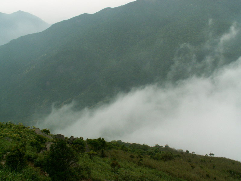 PICT2873_resize.jpg