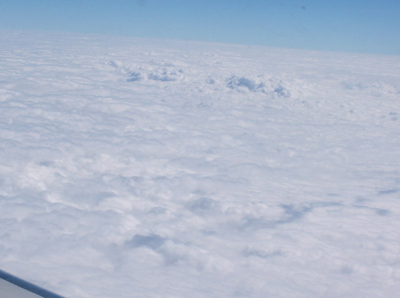 PICT2642_resize.jpg