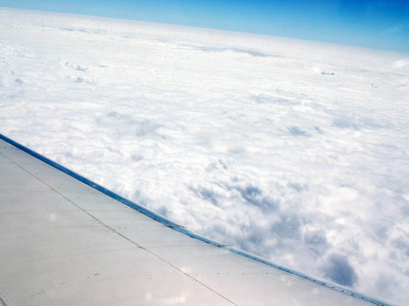 PICT2664_resize.jpg