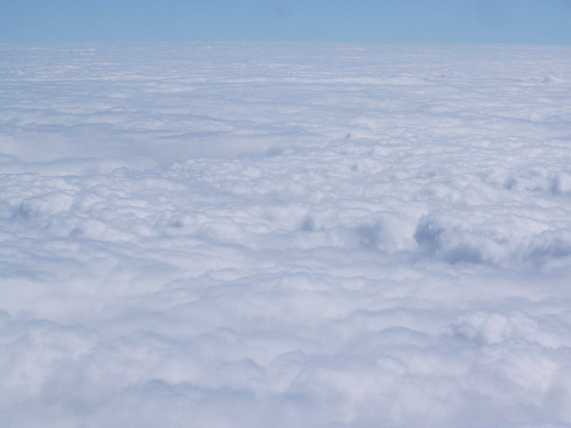 PICT2636_resize.jpg